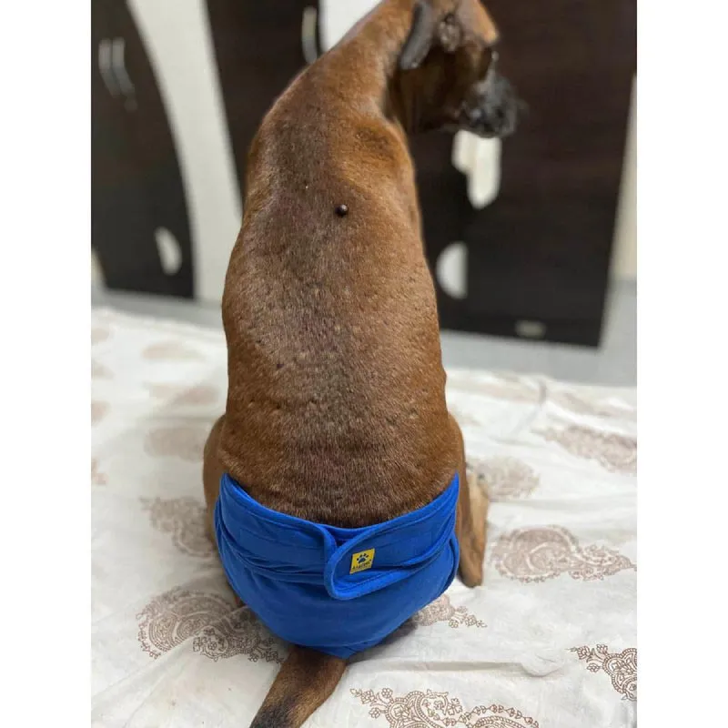A a Pets’ Cotton Reusable Washable Diaper for Dogs (Navy)